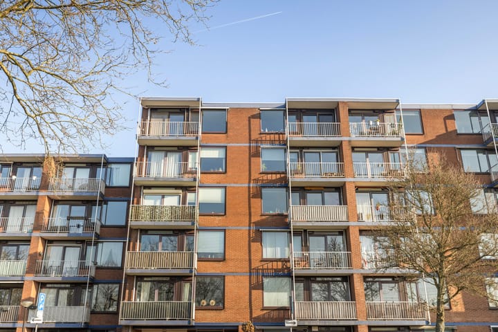 Foto 20 van Burgemeester de Raadtsingel 291