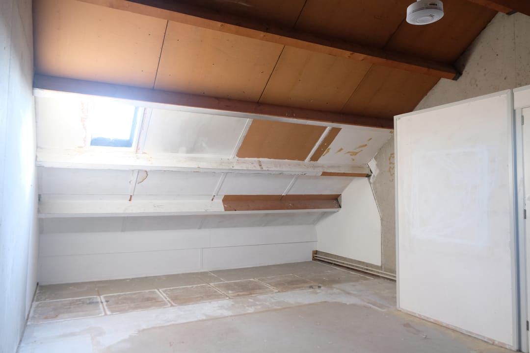 Foto 11 van Sleutelbloem 91