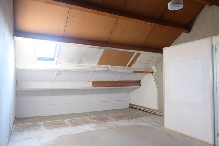 Foto 11 van Sleutelbloem 91