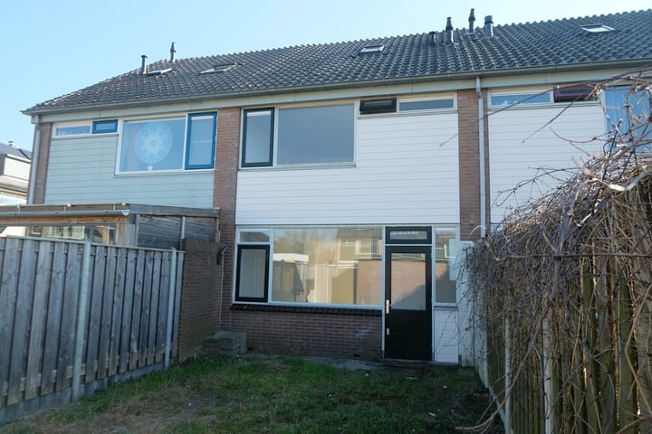 Foto 12 van Sleutelbloem 91