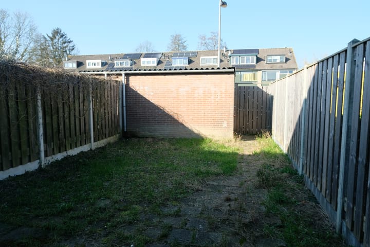 Foto 13 van Sleutelbloem 91