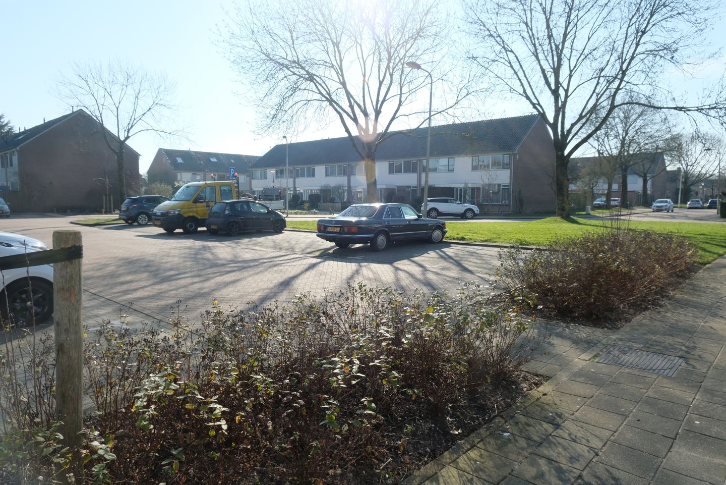 Foto 14 van Sleutelbloem 91