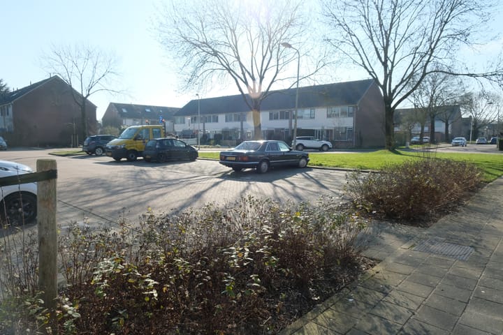 Foto 14 van Sleutelbloem 91