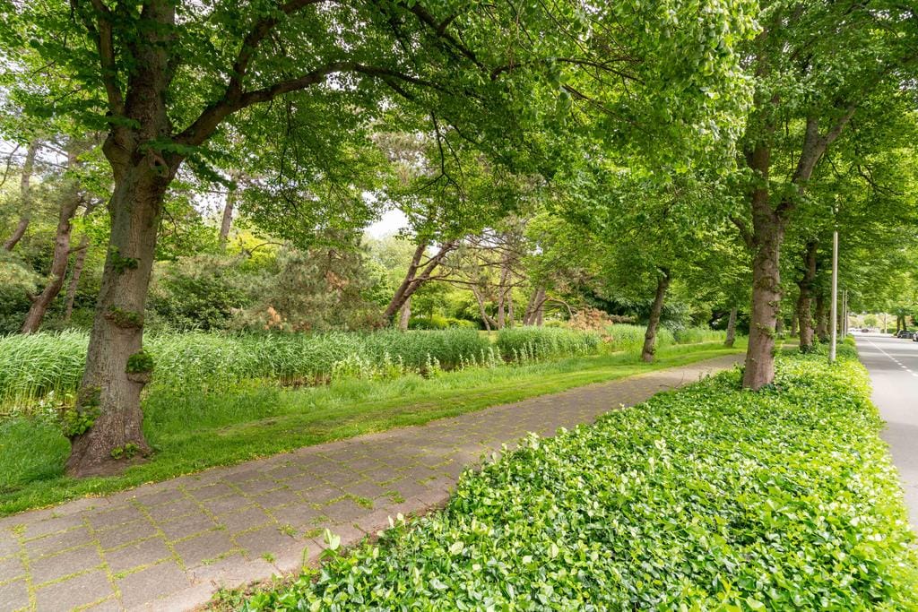 Foto 31 van Clematislaan 59