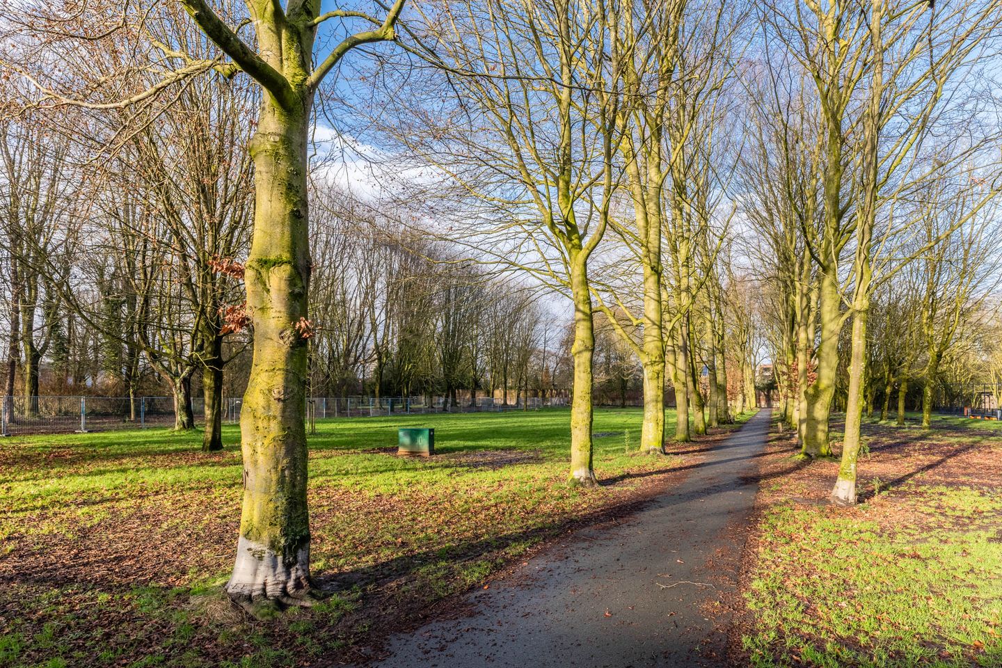 Photo 34 of Veestraat 37