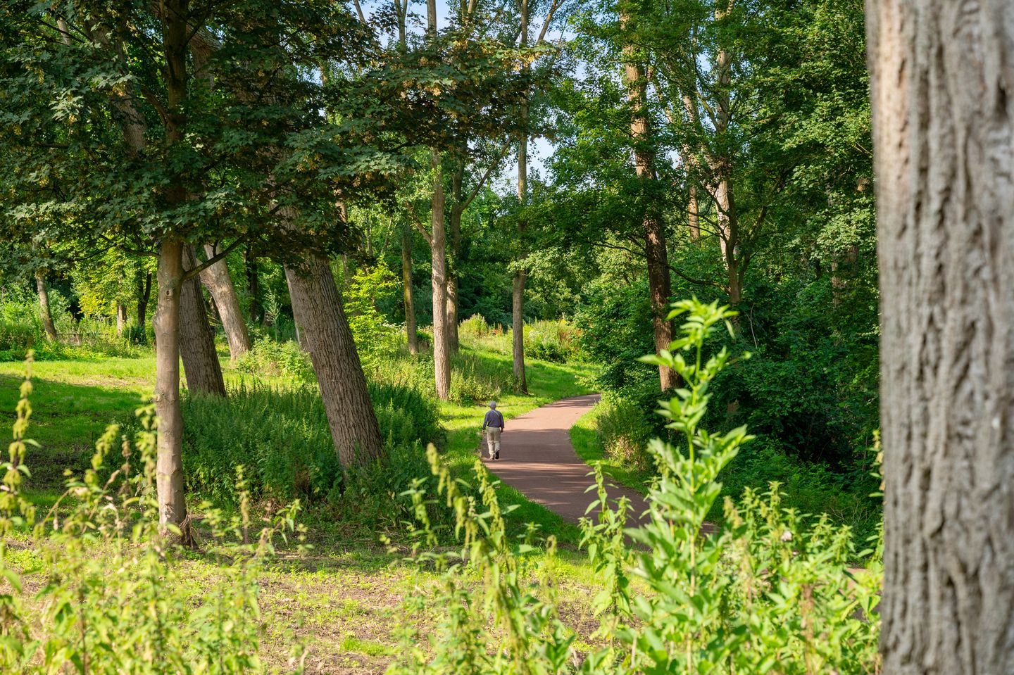 Foto 49 van Overschiese Kleiweg 490