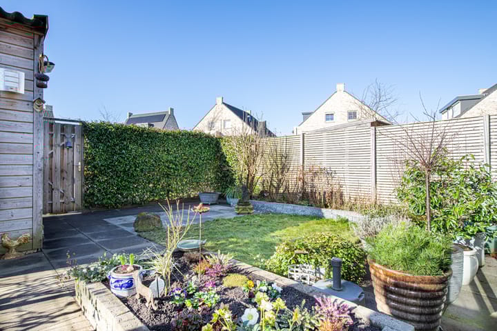 Foto 4 van Klaproos 5