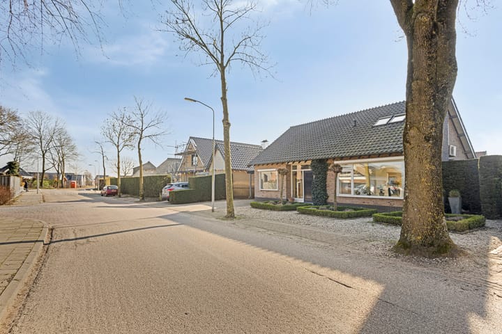 Foto 60 van Lampeland 1