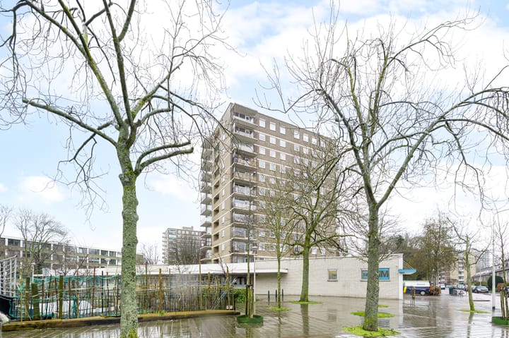 Foto 3 van Dignaland 98