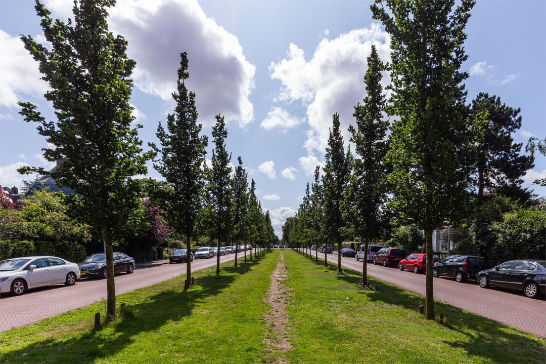 Foto 58 van Nachtegaalplein 2