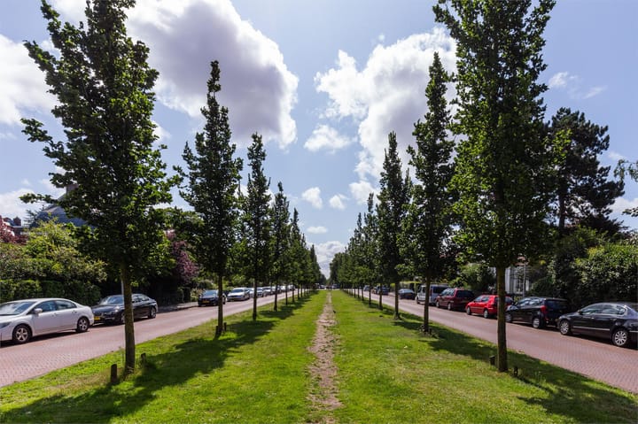 Foto 58 van Nachtegaalplein 2