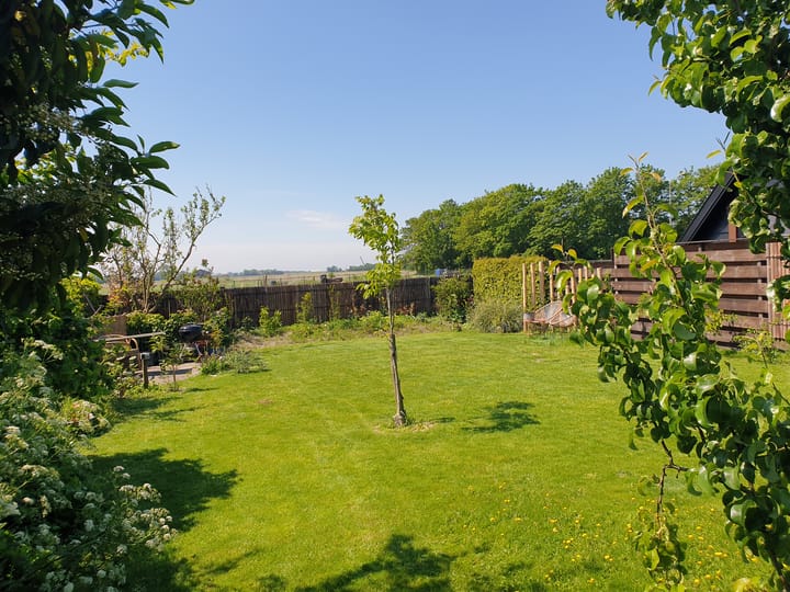 Foto 25 van Nijbuorren 8