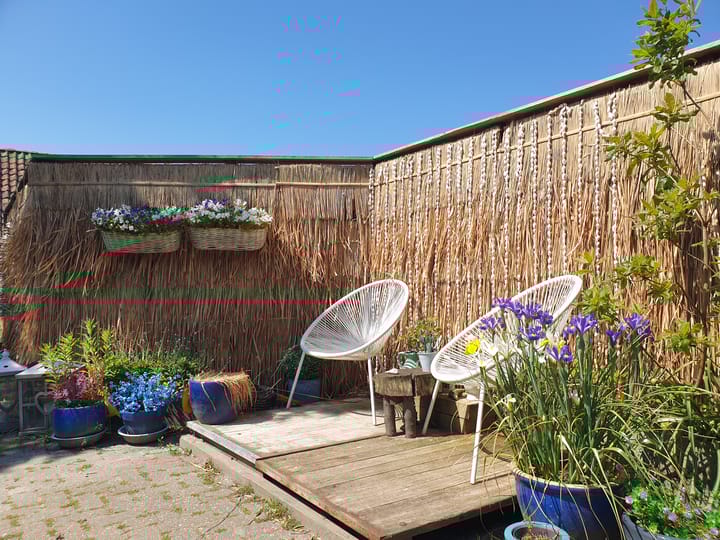 Foto 27 van Nijbuorren 8