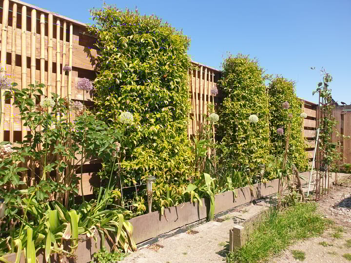 Foto 28 van Nijbuorren 8