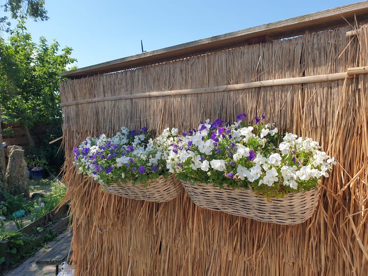 Foto 30 van Nijbuorren 8