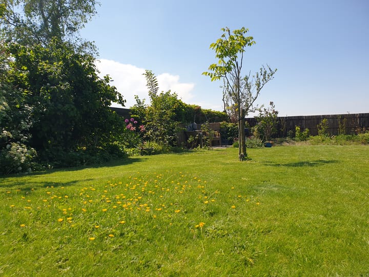 Foto 32 van Nijbuorren 8