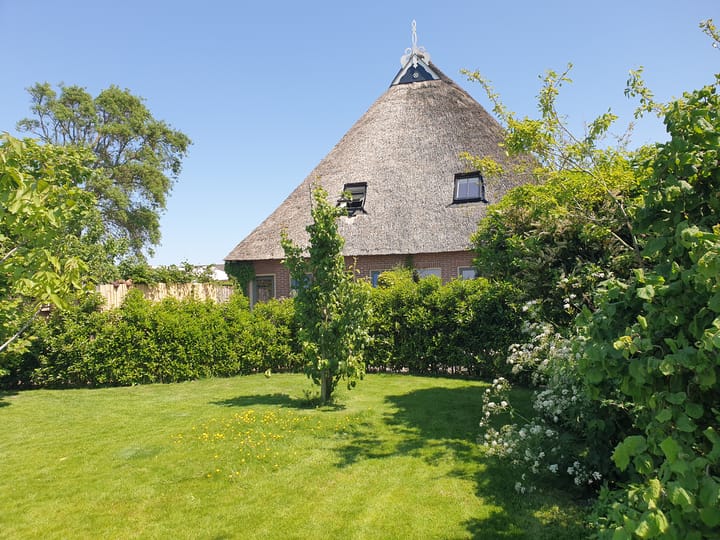 Foto 34 van Nijbuorren 8