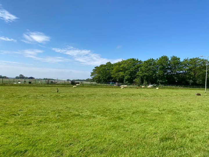 Foto 51 van Nijbuorren 8