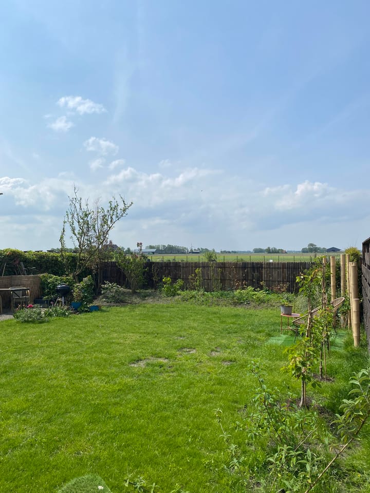 Foto 52 van Nijbuorren 8