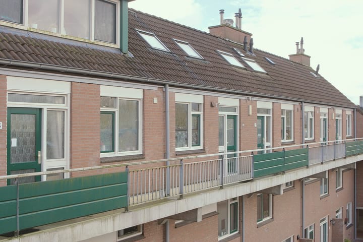 Foto 2 van Penningkruid 12