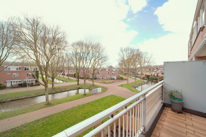 Foto 13 van Penningkruid 12