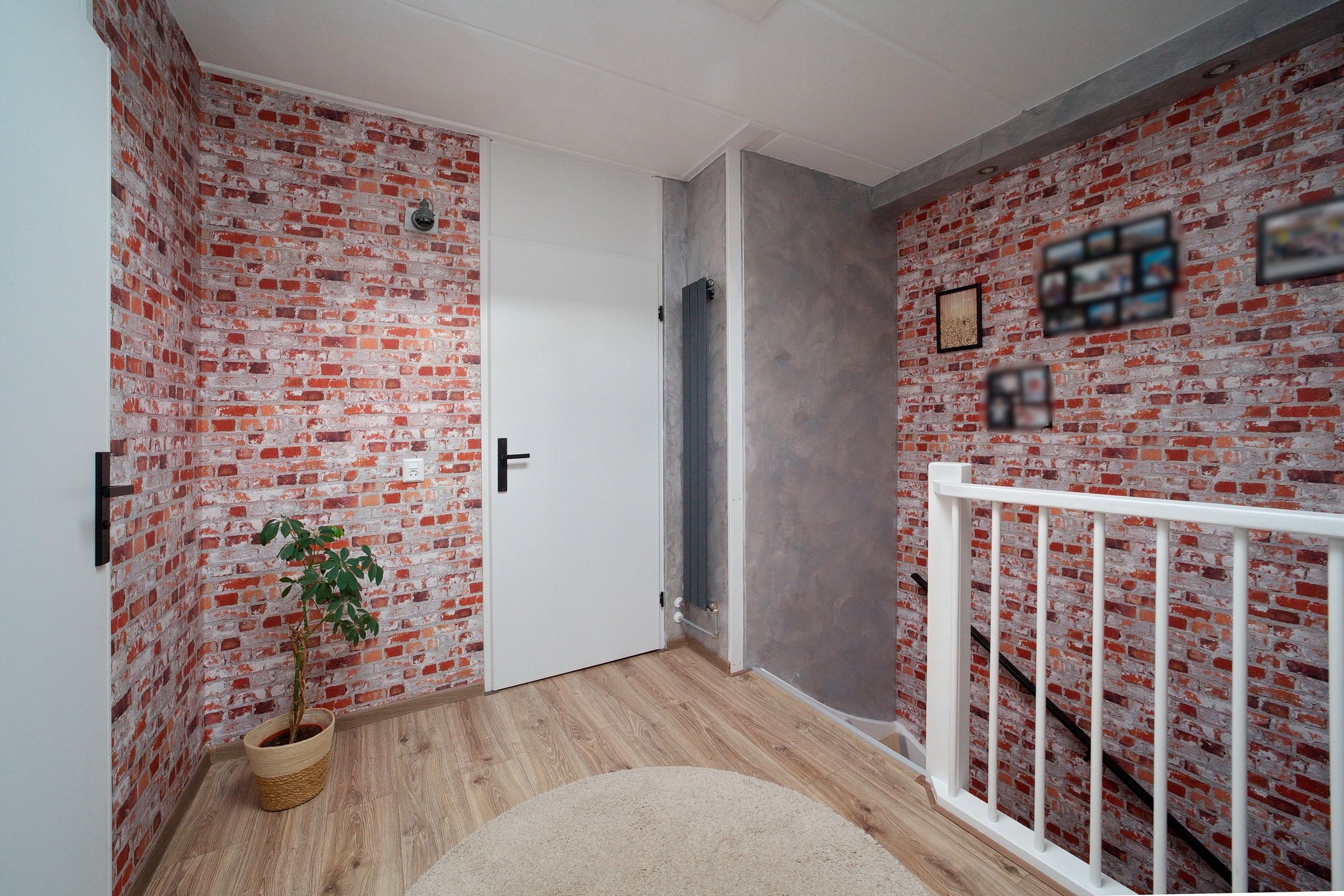 Photo 15 of Penningkruid 12