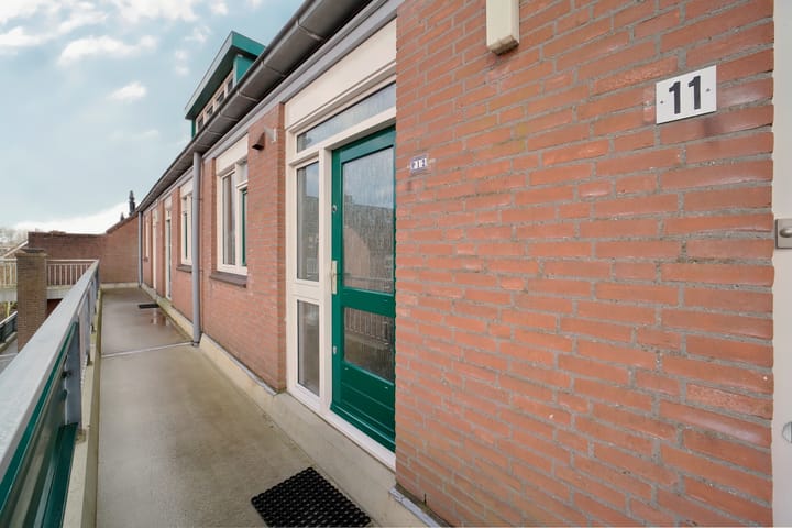 Foto 24 van Penningkruid 12