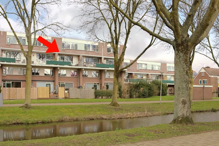 Foto 26 van Penningkruid 12