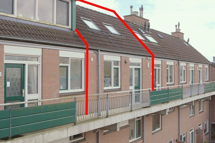 Foto 27 van Penningkruid 12