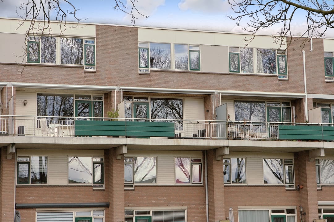 Photo 28 of Penningkruid 12