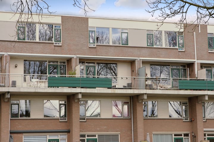 Foto 28 van Penningkruid 12