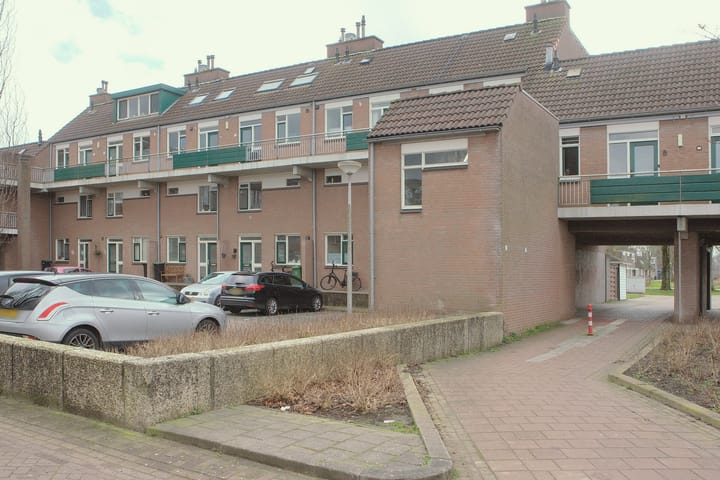 Foto 30 van Penningkruid 12