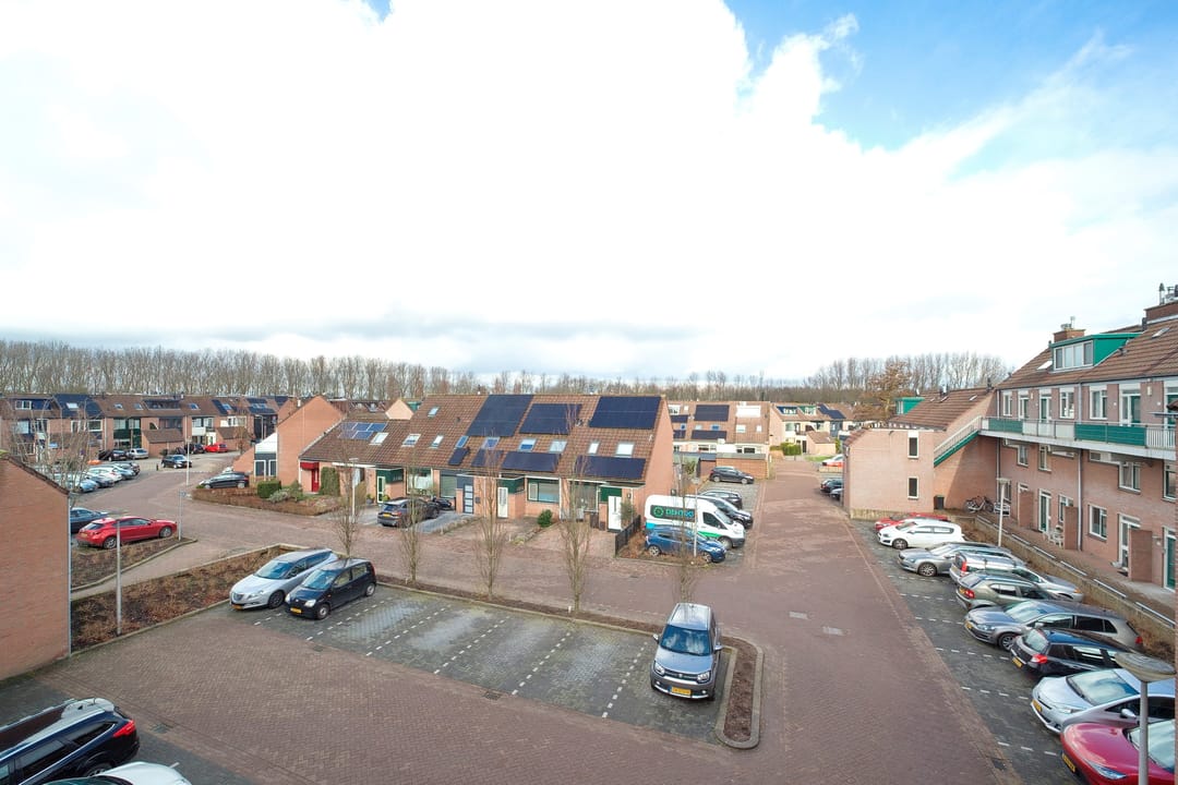 Photo 32 of Penningkruid 12