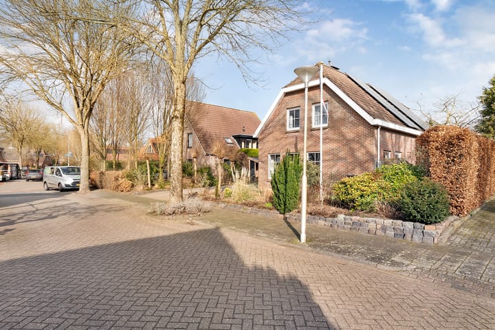 Foto 10 van Waterlelie 14