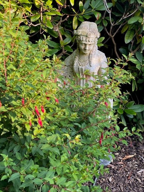 Foto 64 van Meraklaan 5