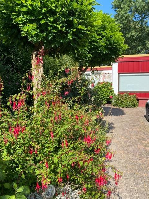 Foto 69 van Meraklaan 5