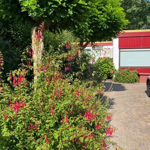 Foto 69 van Meraklaan 5