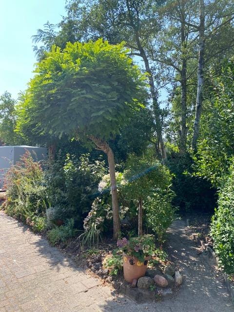 Foto 70 van Meraklaan 5