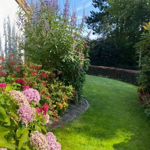 Foto 71 van Meraklaan 5