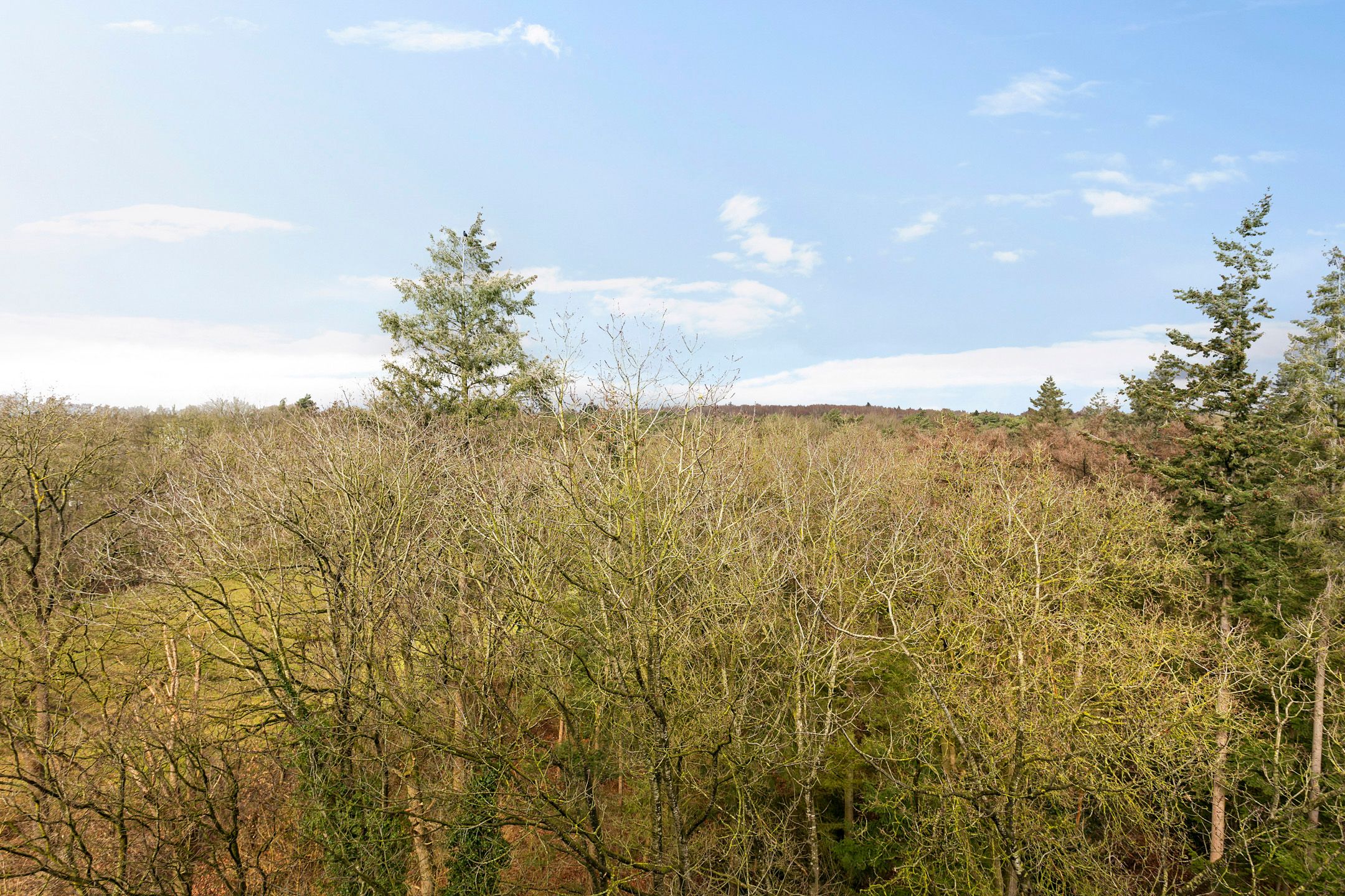 Foto 21 van Landschaplaan 137