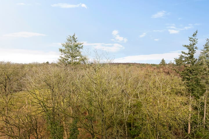 Foto 21 van Landschaplaan 137