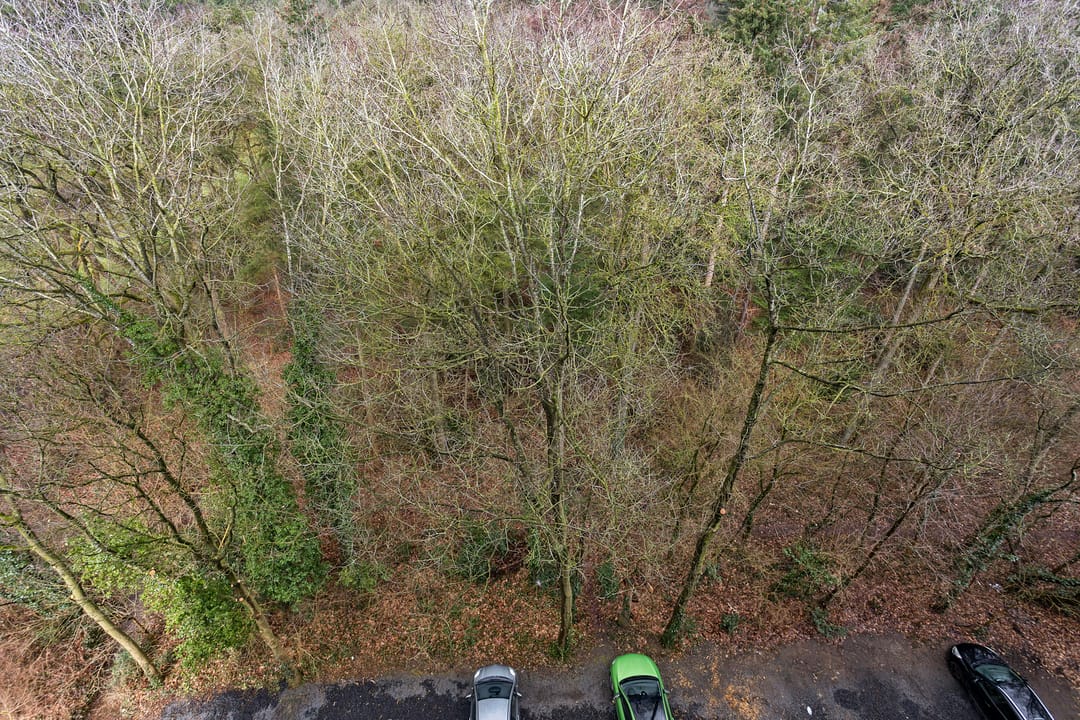 Foto 22 van Landschaplaan 137