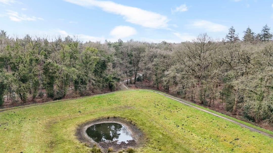 Foto 23 van Landschaplaan 137