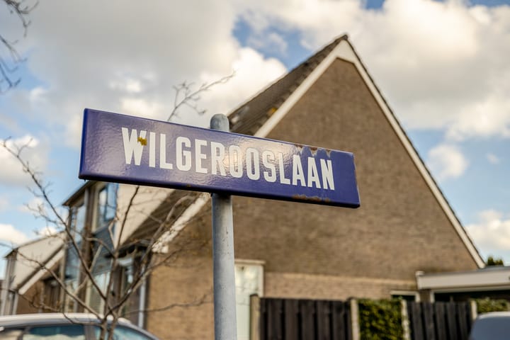 Foto 58 van Wilgerooslaan 26