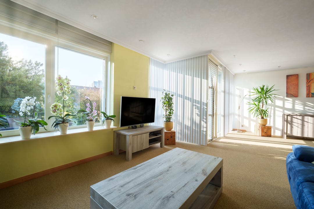 Foto 8 van Pieter Boorsmapad 12