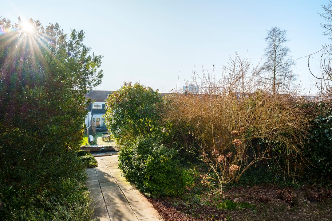 Foto 17 van Pieter Boorsmapad 12