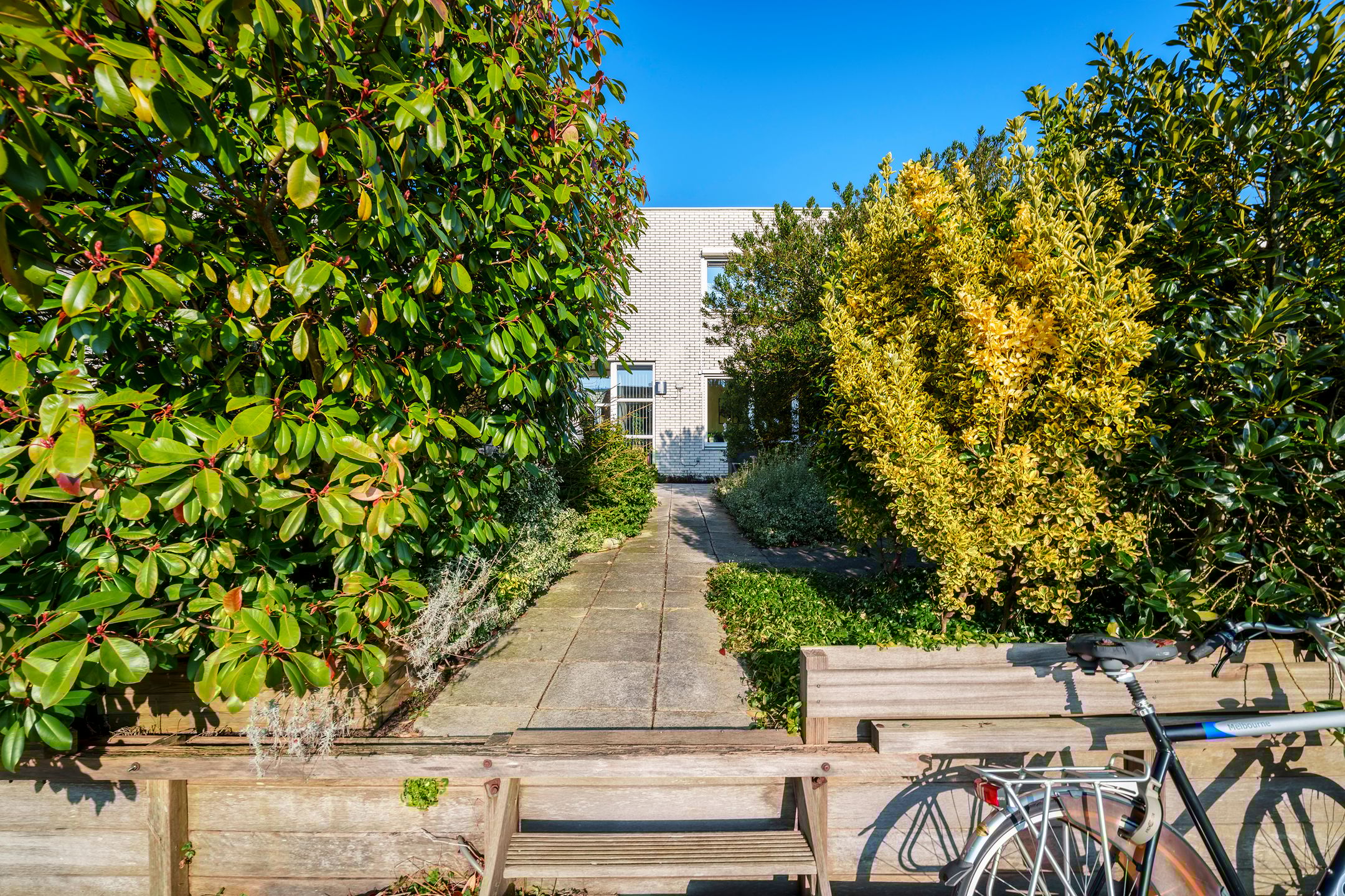 Foto 18 van Pieter Boorsmapad 12