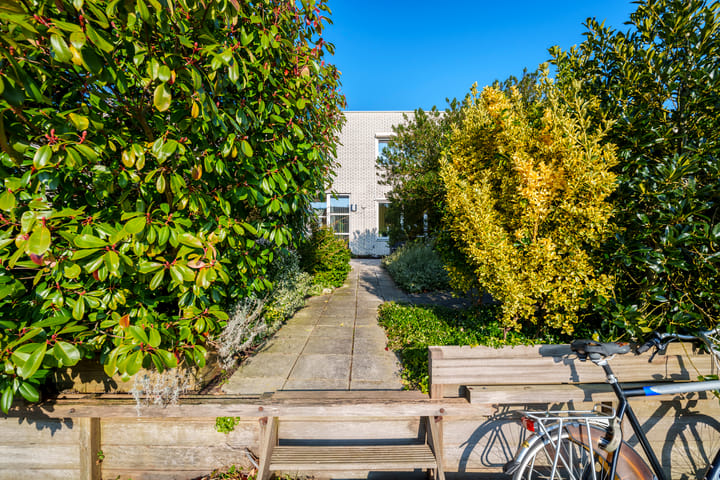 Foto 18 van Pieter Boorsmapad 12