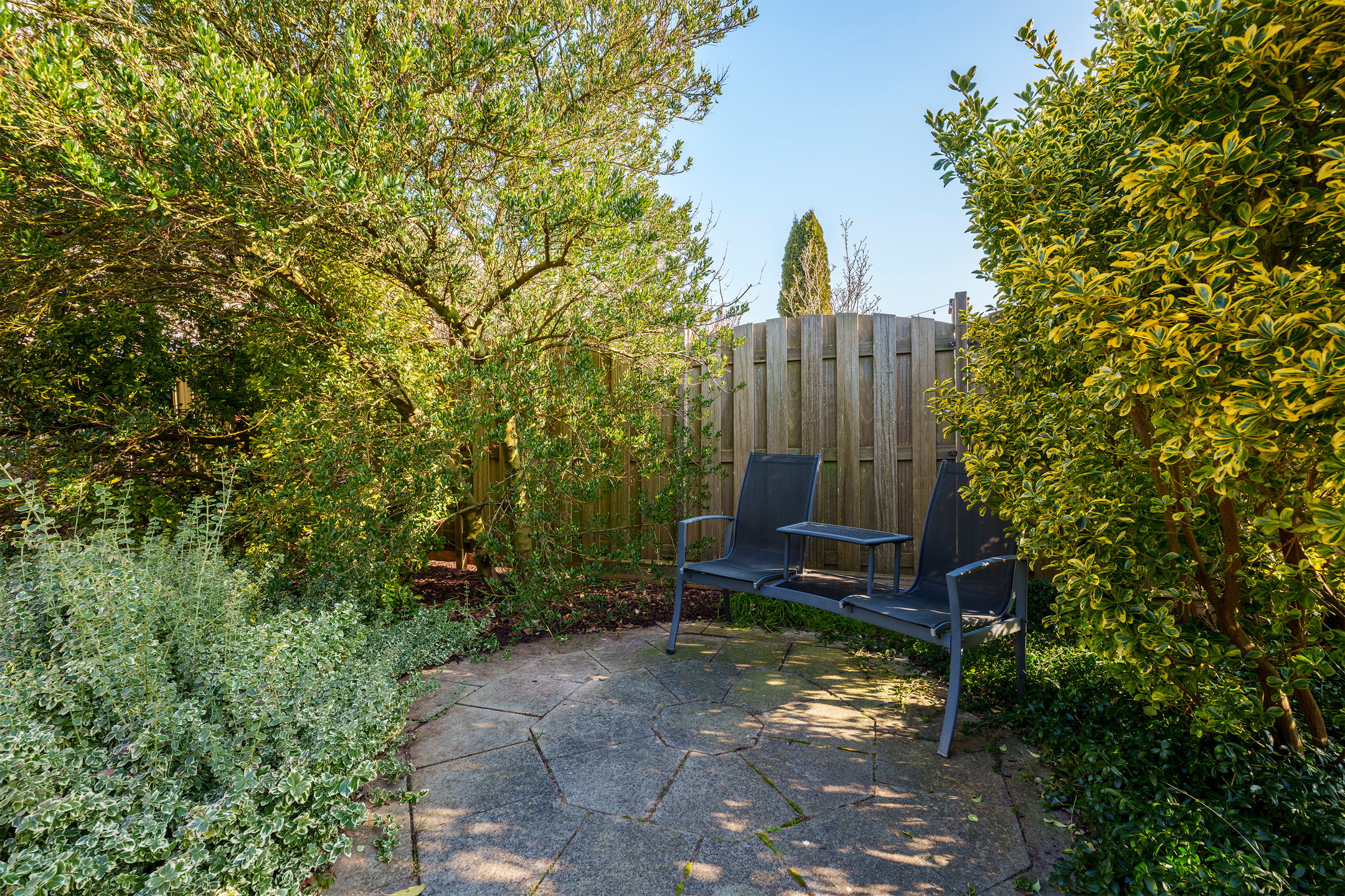 Foto 21 van Pieter Boorsmapad 12