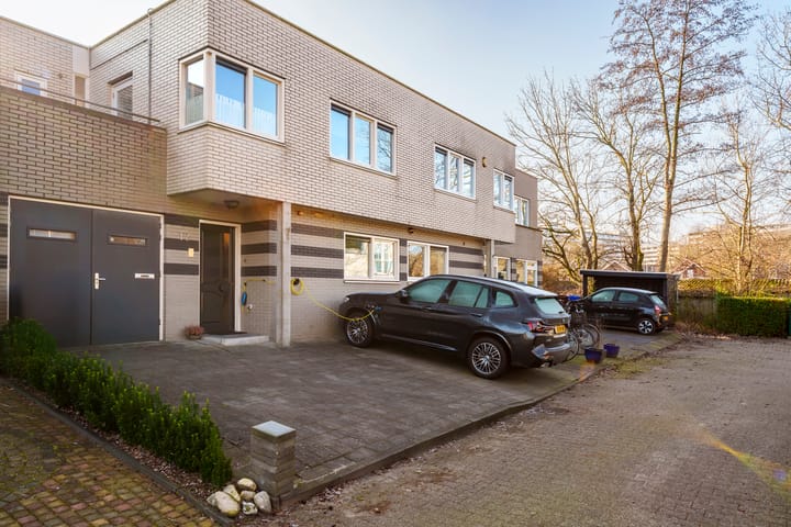 Foto 42 van Pieter Boorsmapad 12